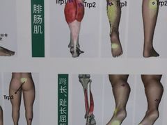 -通透堂中医·精准推拿(旗舰店)