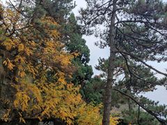 -庐山风景区花径公园