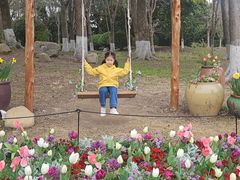 -上海鲜花港