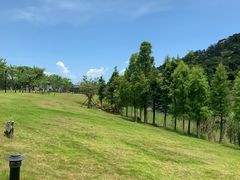 -厦门国家会计学院