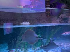 -沈阳海洋探索中心