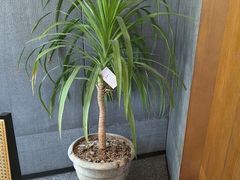 -陈熹公民族美食文化餐厅(中华广场店)