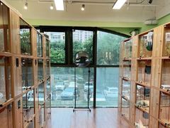 -猫十亿·布偶金渐层·曼基康矮脚猫舍(青年路店)