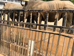 -泉州海丝野生动物世界