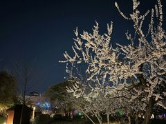 -思念果岭悦温泉