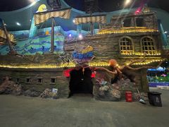 -青岛嘉年华主题乐园