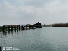 -太湖湖滨国家湿地公园-停车场