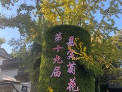 -汇龙潭