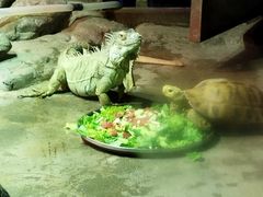 -西安曲江海洋极地公园