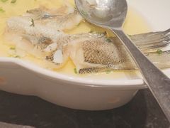 -同庆楼(滨湖万达广场店)