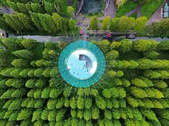 -黄海国家森林公园