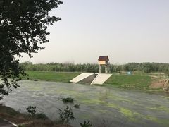 -东郊湿地公园