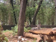 -云南野生动物园