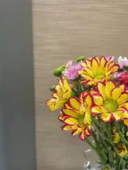-栖SPA·ONDA ·海菲秀·皑皑科技美肤中心