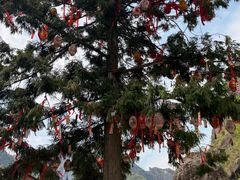 -楠溪江风景名胜区