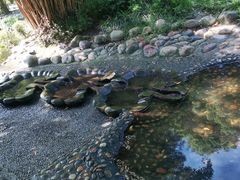 -成都市活水公园