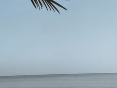 -天津东疆湾沙滩景区