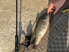 -会江钓鱼钓虾烧烤场