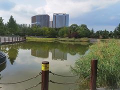 -大望京公园