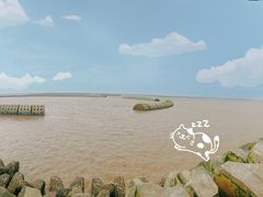 -南汇新城海滩
