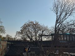 -糖房咖啡(南锣鼓巷店)
