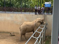 -西霞口神雕山野生动物世界
