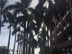 -三亚湾红树林度假世界(木棉酒店)