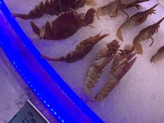 -澜悦港海鲜体验主题餐厅