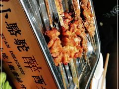 -福苗小骆驼烧烤(莲湖路店)