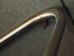 -华莱士·全鸡汉堡(大东海店)