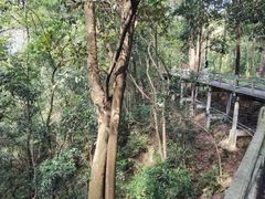-四会奇石河风景区
