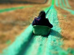 -古柏渡飞黄旅游区