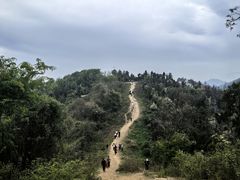 -青龙山国家森林公园