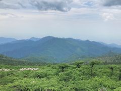-朱雀国家森林公园