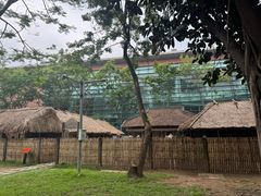 -越南民族学博物馆