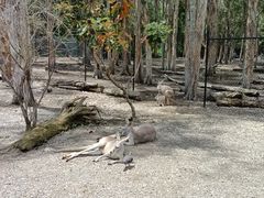 -可伦宾野生动物保护区