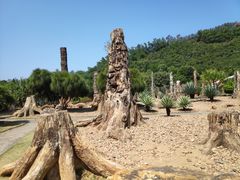 -深圳仙湖植物园