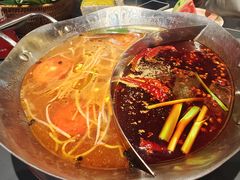 -由衷贵州酸汤牛肉火锅(新桥店)