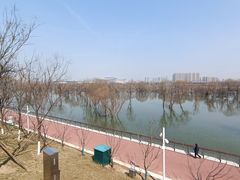 -灞河西岸滨河公园