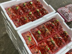 -菜园坝水果市场