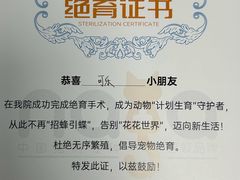 -纳吉亚猫专科动物诊疗中心(蒋宅口分院)