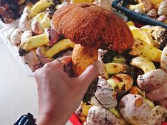 -双喜农庄·菌香园(安居家园店)