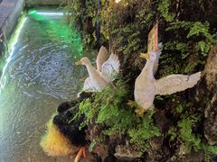 -炑羊香烤全羊(西三旗店)