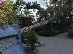 -瑞丽独树成林风景区