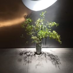 -美壹生诊所皮肤管理中心·海菲秀&Legacy美白舱