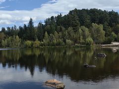 -五营红松林海景区