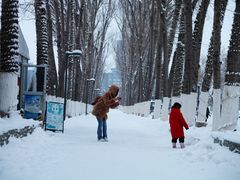-绿野森林乐园冰雪季