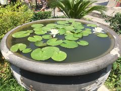 -西安化觉巷清真大寺