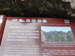 -雁荡山风景名胜区-小龙湫