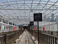 -武汉关码头(轮渡站)